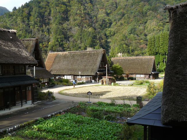 �����W��