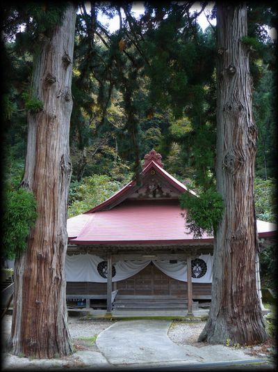 ���J�O������