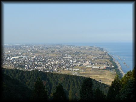 �{�蒬����