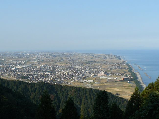 �{�蒬����