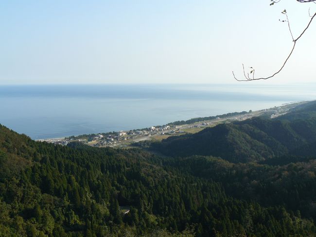 �{�蒬����