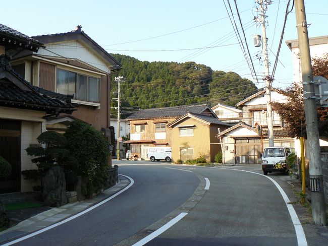 �{�蒬����