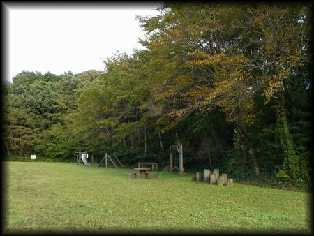 �����c�Õ��Q