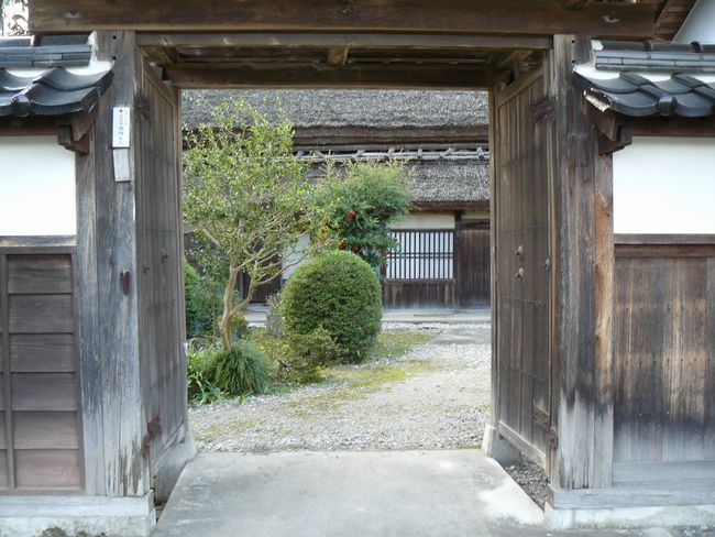 �����ƏZ��