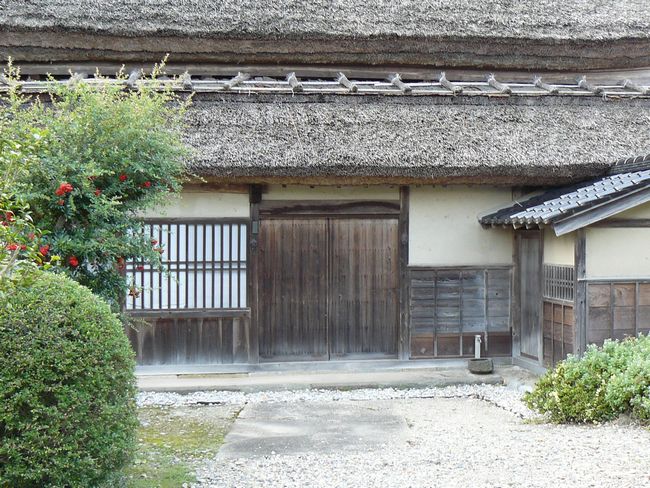 �����ƏZ��