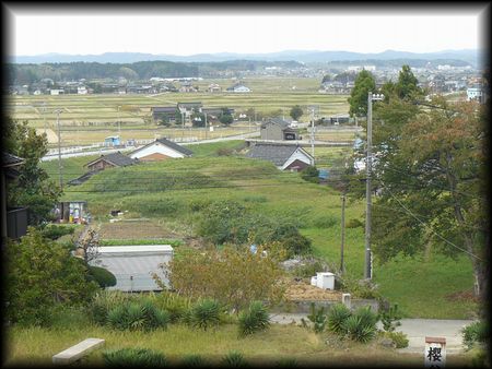 ���J�Õ��P��