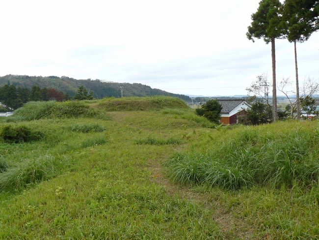 ���J�Õ��P��