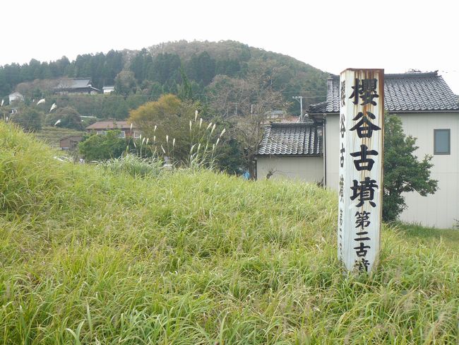 ���J�Õ��Q��