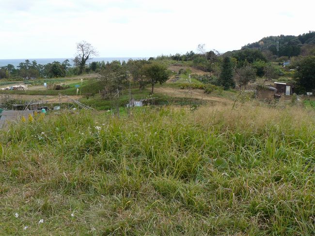 ���J�Õ��Q��