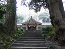 気多神社石段と大木越に見える拝殿