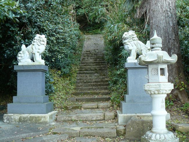 �����_��