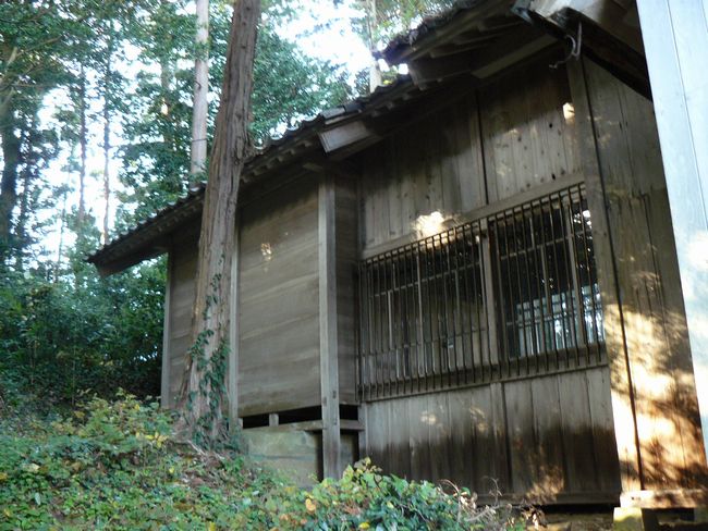 �����_��