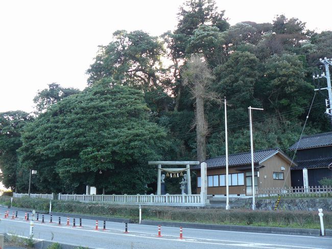 �����_��