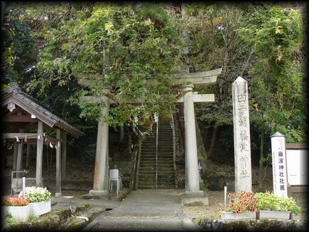 �c�q�Y���g�_��