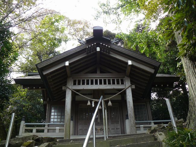 �c�q�Y���g�_��