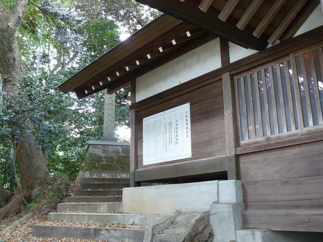 �c�q�Y���g�_��