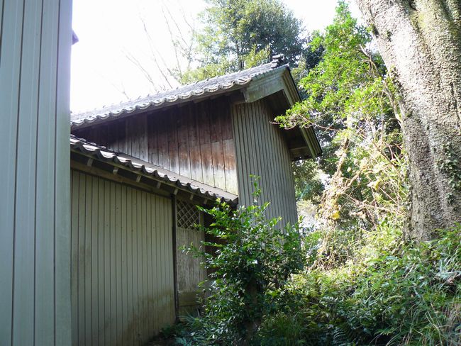 �z���_�Ёi�z�{�̉~�R�j