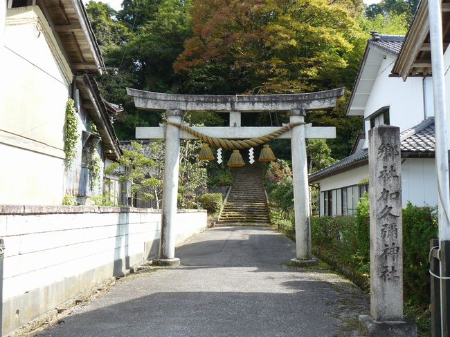 ���v��_��