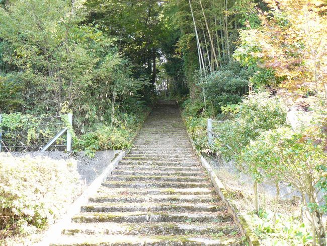 ���v��_��