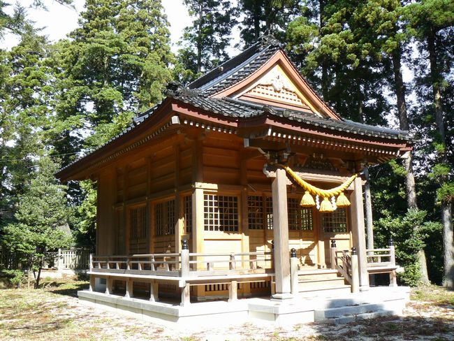 ���v��_��