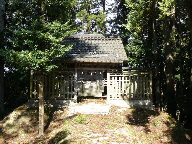 ���v��_��