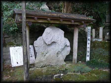 �n�\�̋��i������j