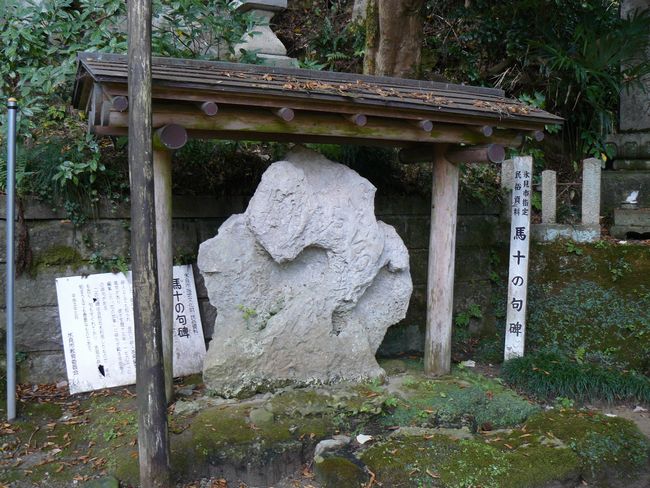 �n�\�̋��i������j