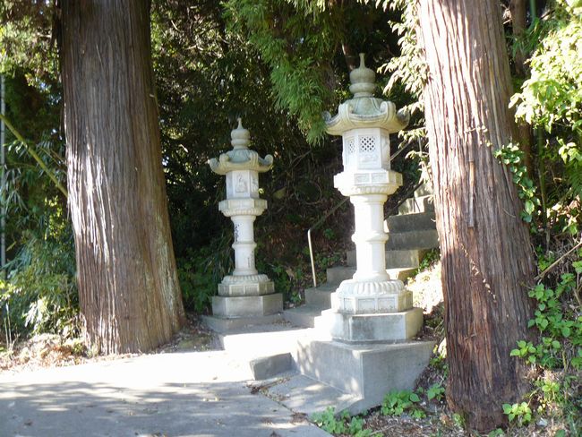 �[���_��