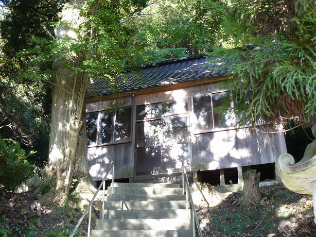 �[���_��