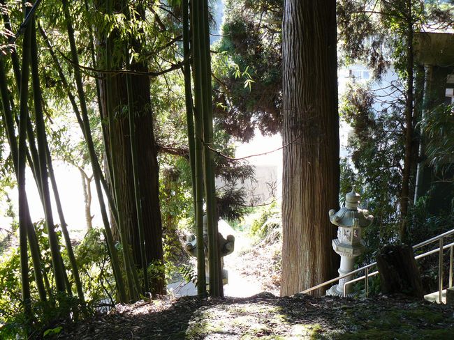 �[���_��