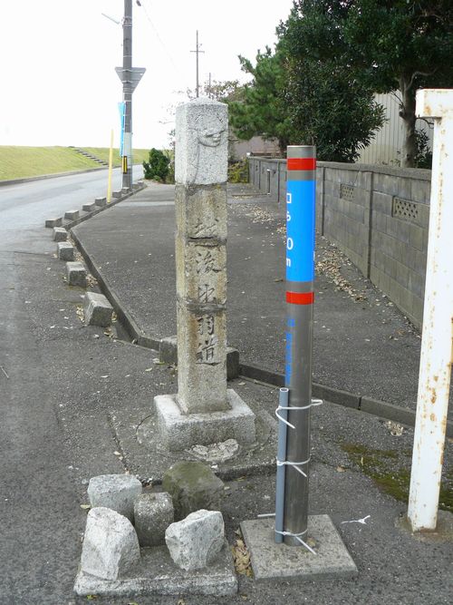 �O�P�V�̓��W