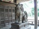放生津八幡宮拝殿に安置されている木製狛犬（吽形像）