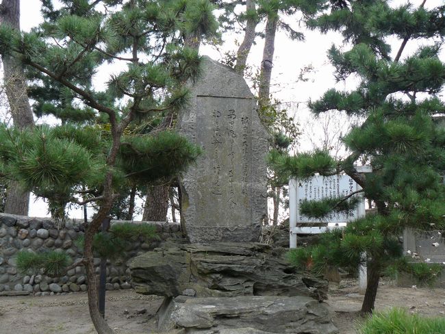 �����Ô����{