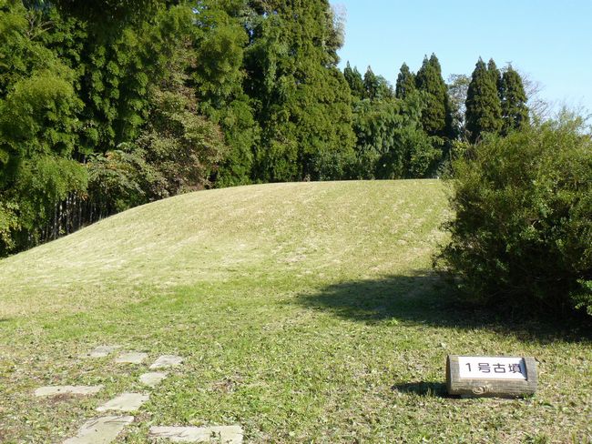 ���c�V���