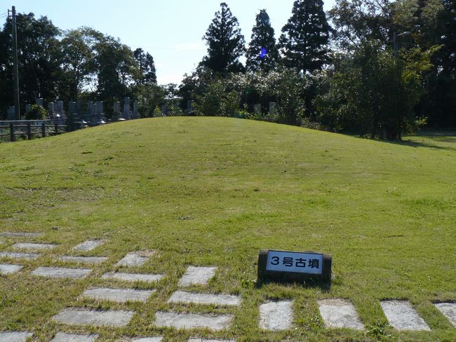 ���c�V���