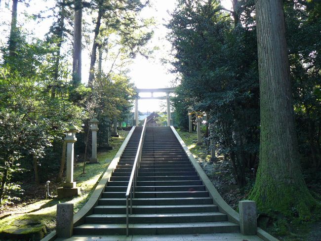 ���c�_��