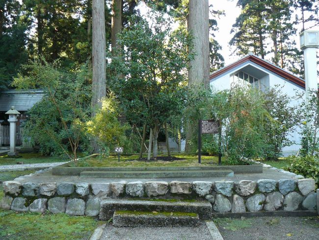 ���c�_��