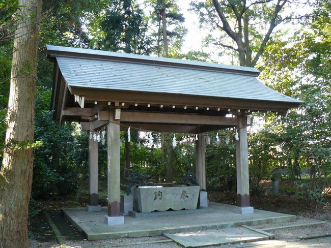 ���c�_��