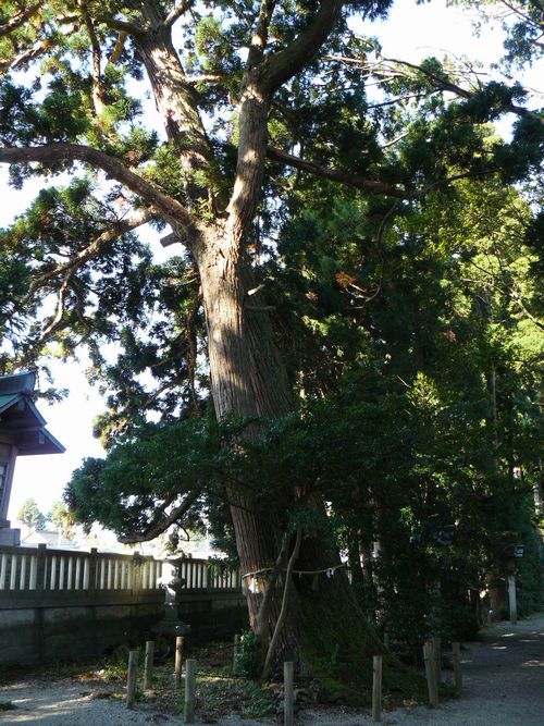 �ː��s�E���c�_��