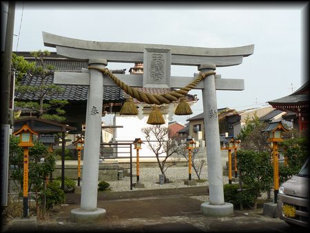 �V���V���{