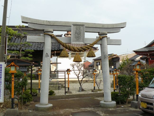 �V���V���{