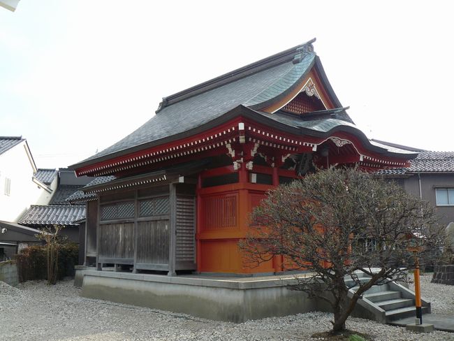 �V���V���{