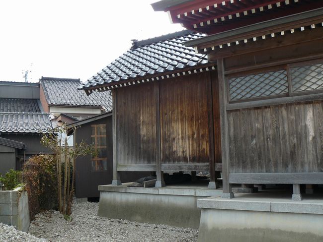 �V���V���{