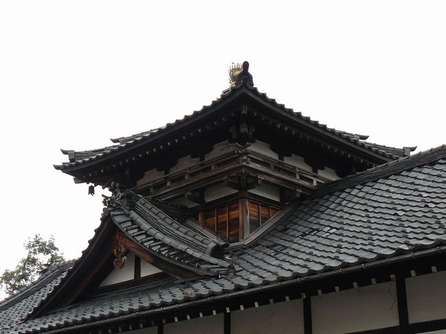 ����g�w��