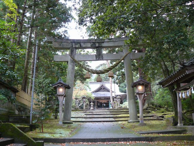 ��g�����{