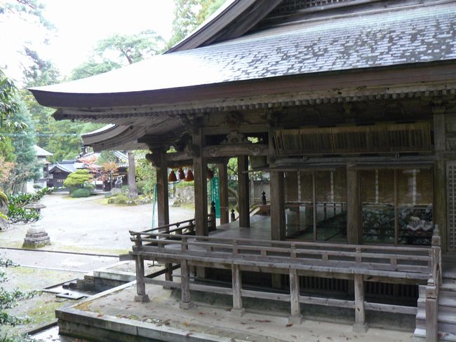 ��g�����{