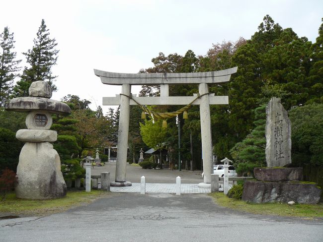 �����_��