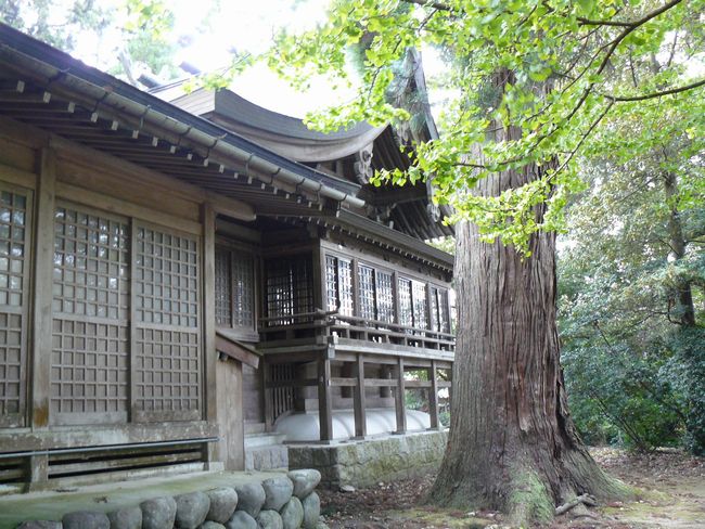 �����_��