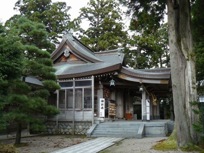 �����_��