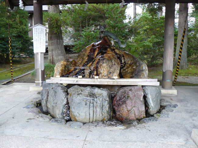 �����_��